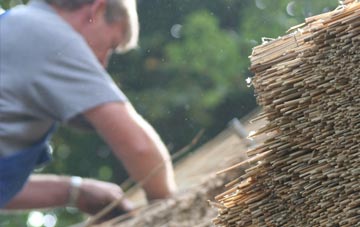 professional Farmington thatchers